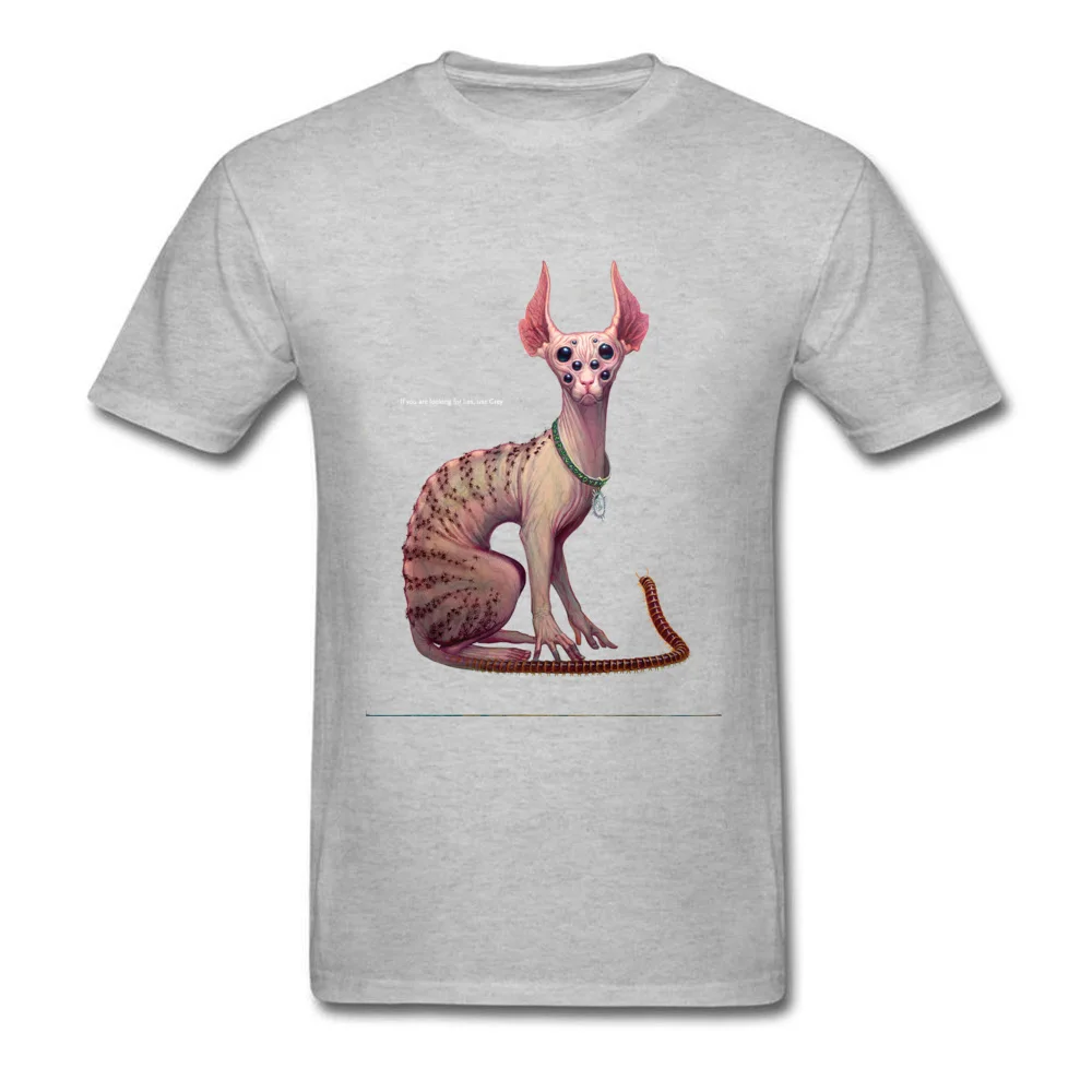 Wrong_Cat_grey