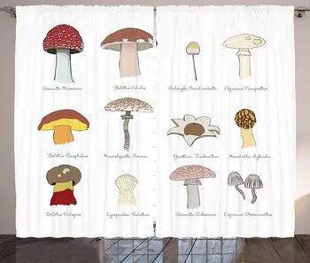 

Mushroom Curtains Colorful Fungi Pattern Blusher Boletus Sketch Style Plants Autumn Illustration Living Room Bedroom Window Drap