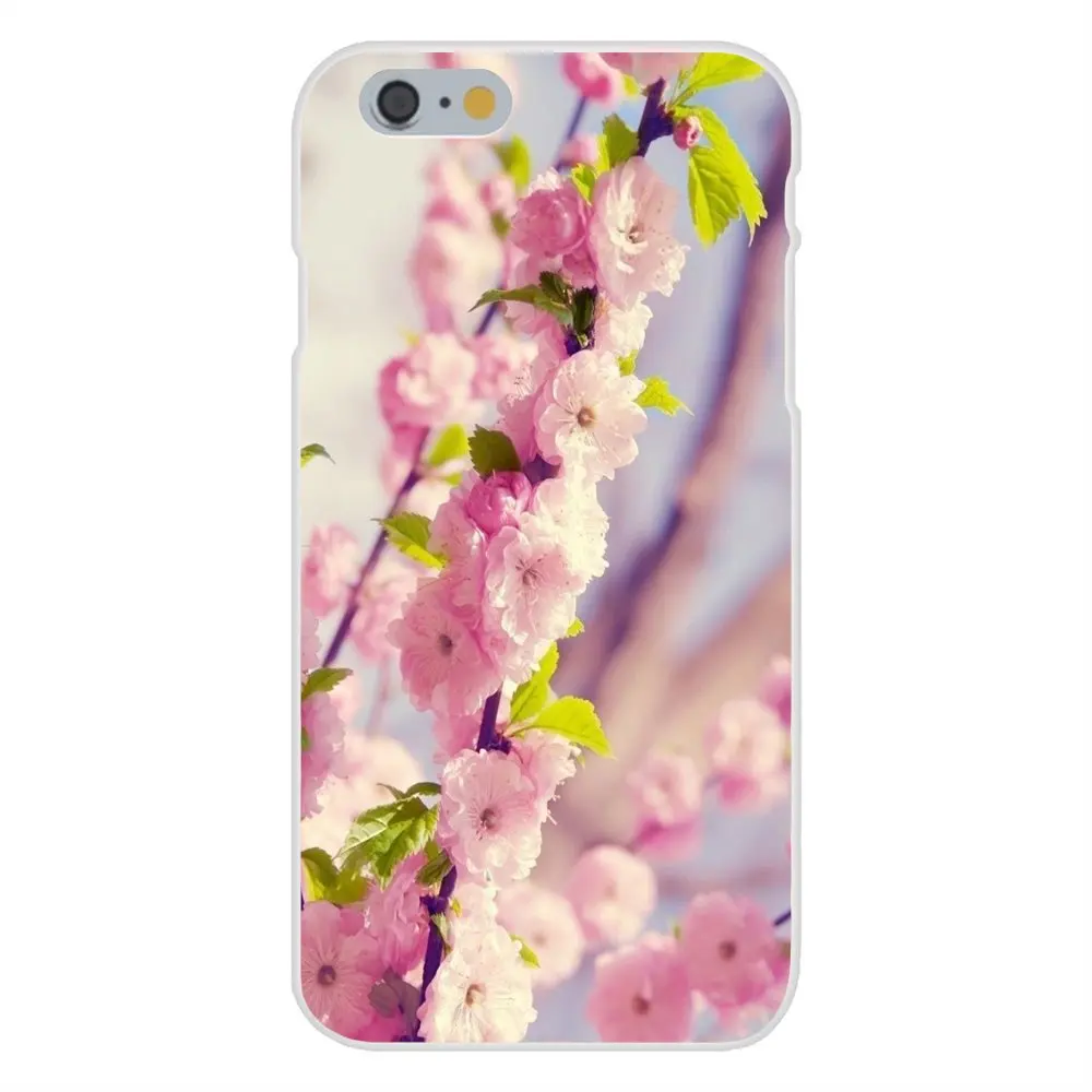 20130403205746_kXA2t.thumb.700_0