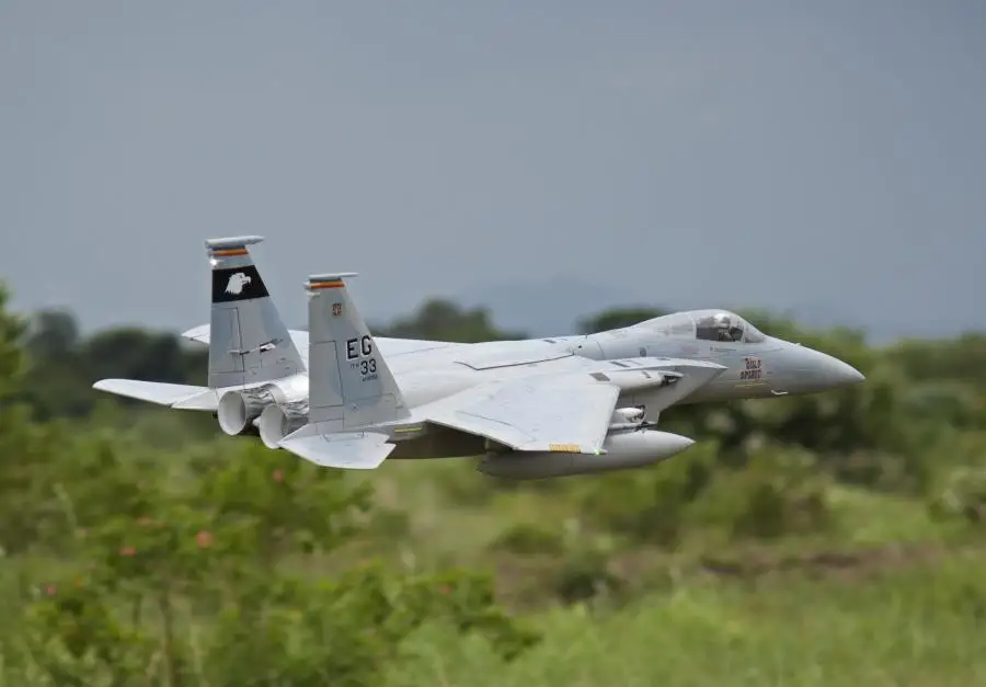 Freewing Новый электрический RC jet F 15E EAGLE F15 плоскость 90 мм металлический edf 6s PNP или