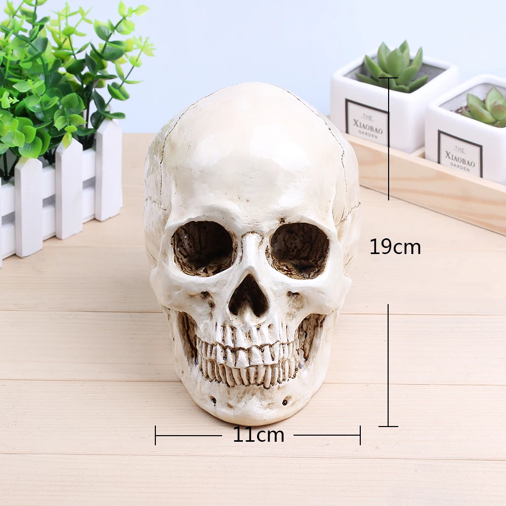 Halloween Decoration SKULL Sculpture Handmade carving Crafts 11 * 19 CM Medical Painting Model Home Ornaments|Статуи и скульптуры| |