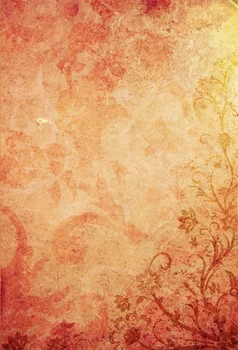 

Laeacco Grunge Fade Flowers Pattern Photography Backgrounds Vinyl Custom Camera Photographic Backdrops Props For Photo Studio