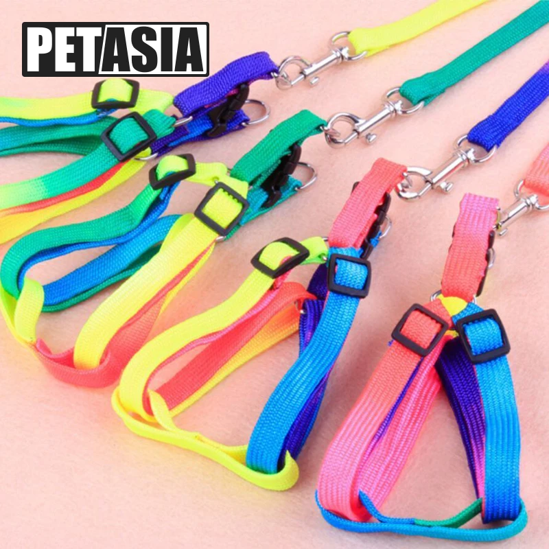 New Adjustable Small Pet Dog Leash Harness Nylon Colorful Puppy Lead