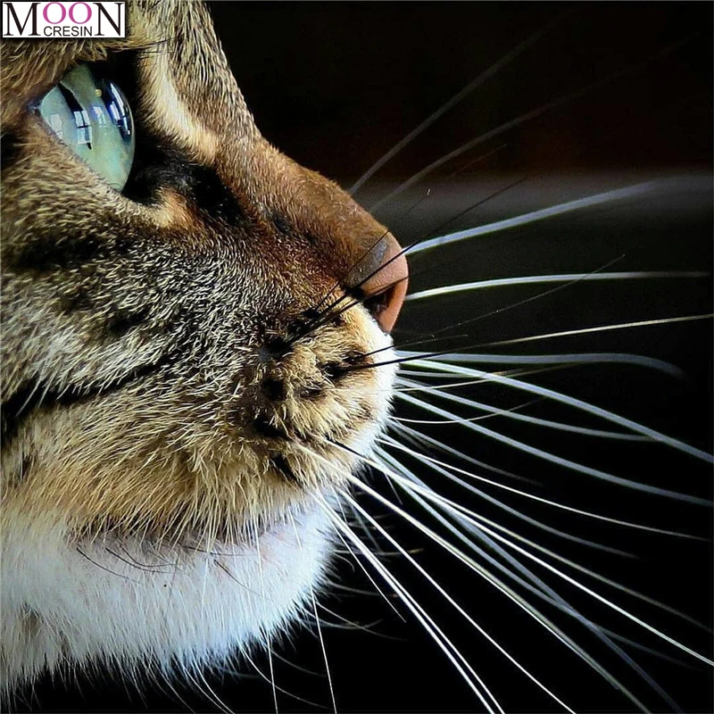 

MOONCRESIN DIY Embroidery Cat's Longing Diamond Painting Cross Stitch Full Square Drill Mosaic Home Decor Needlework Forceps Kit