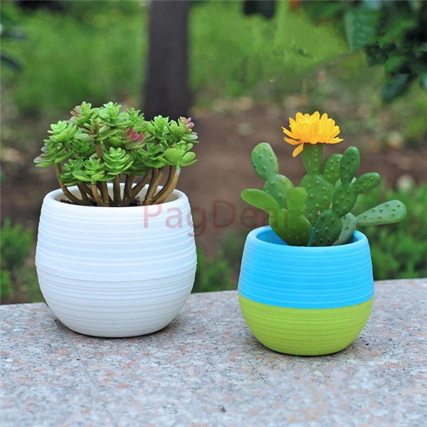 Colourful Round Pot03