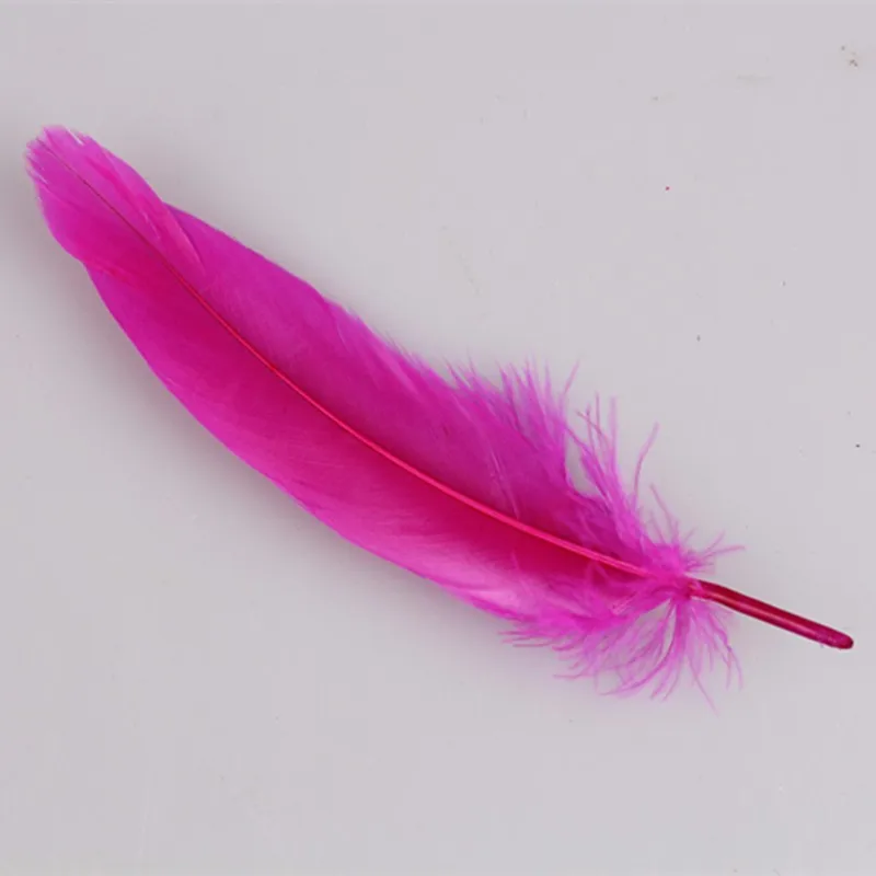 F007 (6)