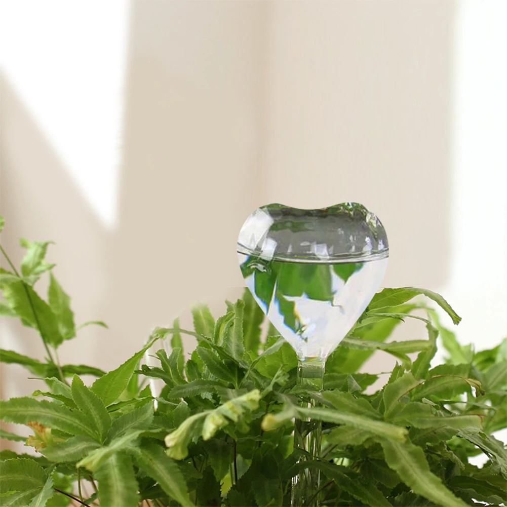 Buy Novel Beautiful Glass Self Watering Watering