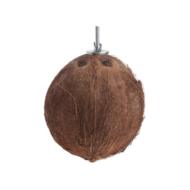 Bird Parrot Finch Nest Natural Coconut Shell Hanging Chain Cage Toys Swing House 090 5