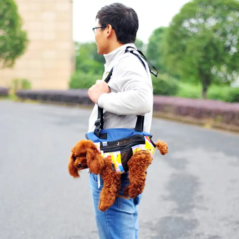 dog holder for chest