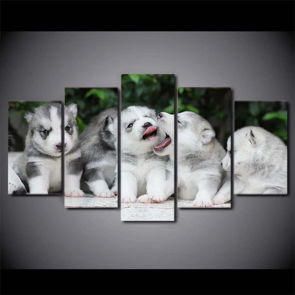 HTB1em8HatHO8KJjSZFLq6yTqVXaO