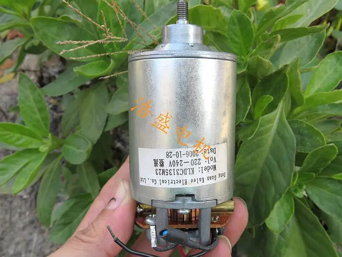 

220V DC motor high power High speed carbon brush motor Electric oven Soymilk motor Power generation DIY spindle motor