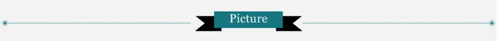 Picture SHow