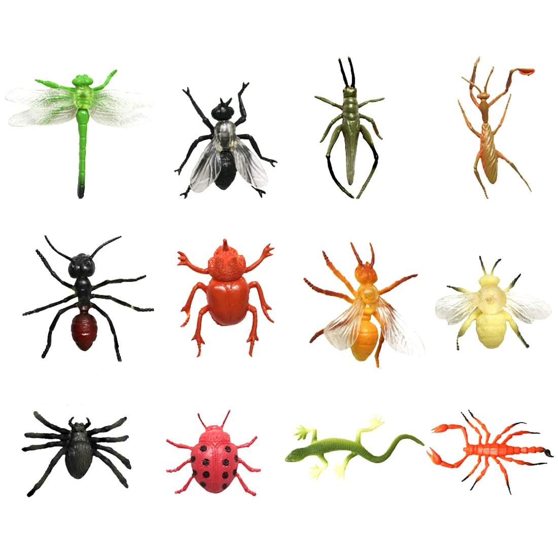 

Funny 12Pcs Party Class Insect Model Kit Educational Toys for Children Learning Biology