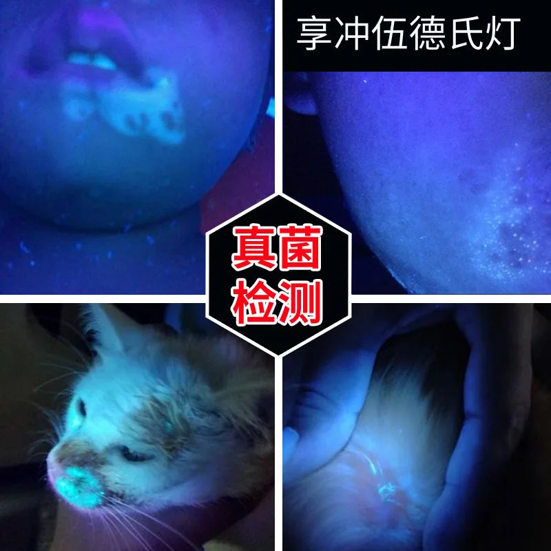 WOODu0027s Lamp Fungus Test Lamp Light Skin Ultraviolet Light Cat dog Moss  Tinea Light UV Flashlights Pets Urine and Stains Detector