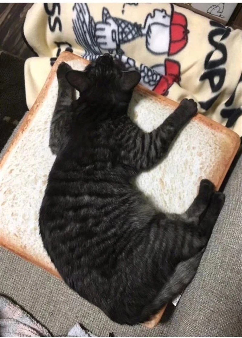 20170918_223943_008