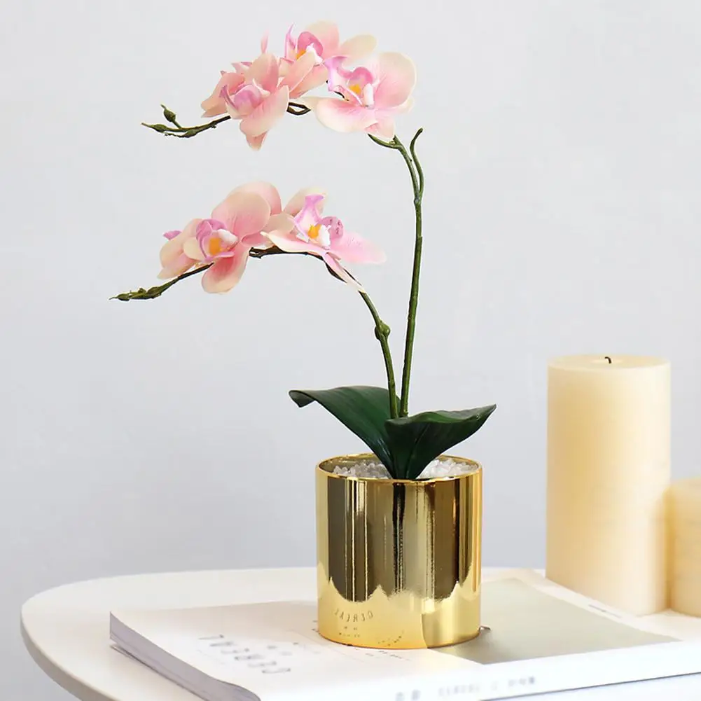 1 комплект фаленопсис горшечные искусственные цветы, орхидеи+ Искусственные камни+ пластиковая ваза имитация цветов для дома декоративный бонсай подарок