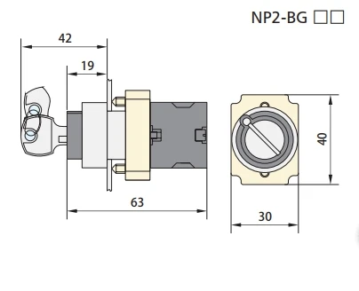 NP2-BG 