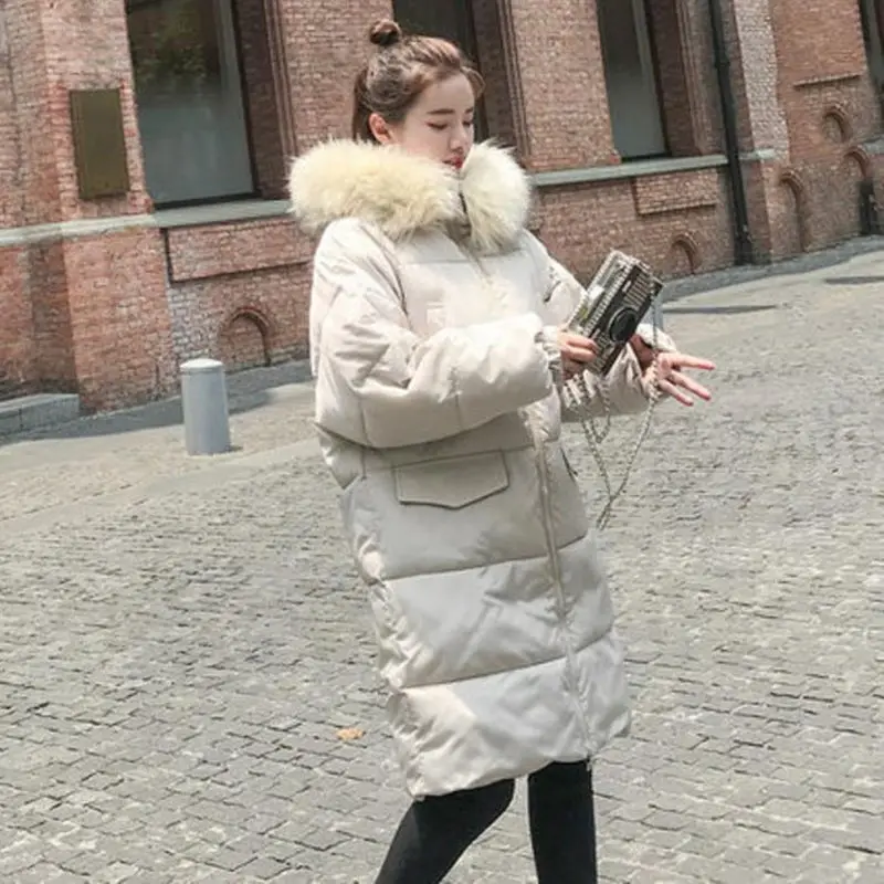 2018 Korean Style Winter Jacket Women With Fur Collar