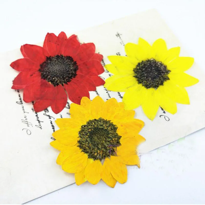 1815 20 De Réduction120 Pièces 5 Cm Pressé Séché Rougejaune Tournesol Fleur Plante Herbier Pour Bijoux Pendentif Anneau Boucles Doreilles Fleur