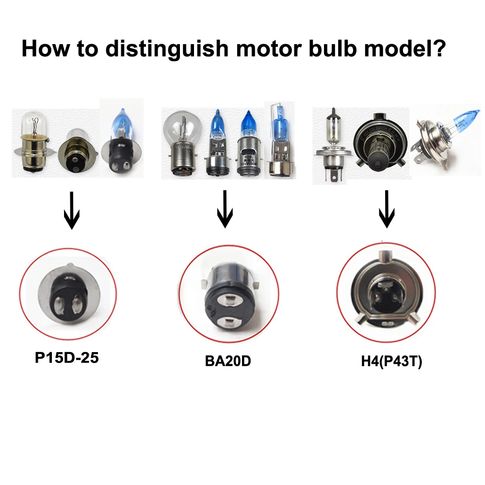 motor-P15D-25-1-BA20D-H4