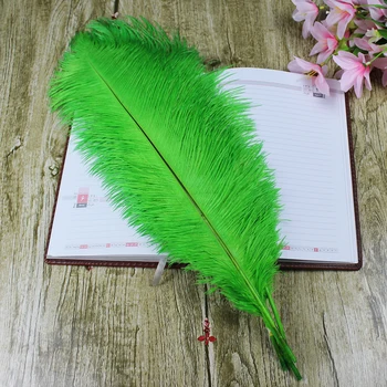

50 PCS beautiful decoration natural green ostrich feathers 50 to 55 cm / 20 to 22 inches decorative feather