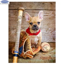 5D DIY Алмазная вышивка, животное, собака чихуахуа, алмазная картина, фото на заказ, вышивка крестом, 3D, Алмазная мозаика, рождественский подарок B713