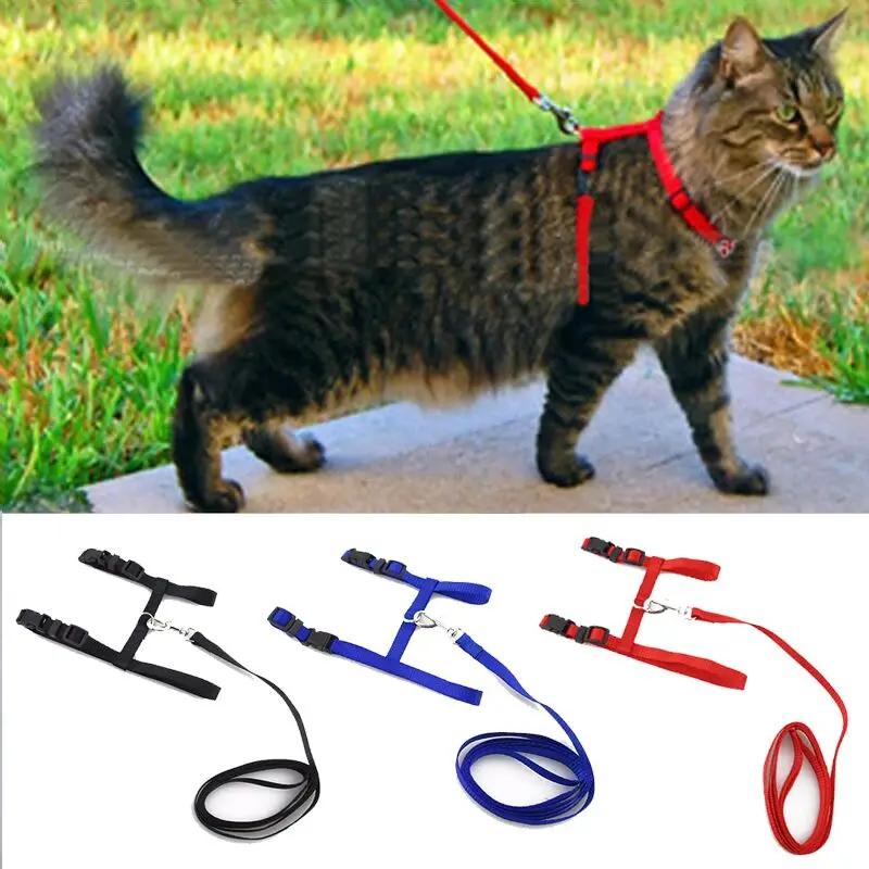 Cat Collar Harness Leash Adjustable Nylon Pet Traction Cat Kitten Dog Halter Collar gato Cats Products Pet Harness Belt 1