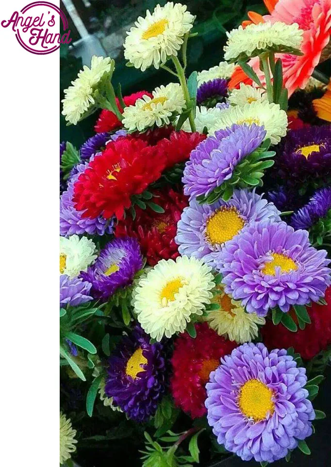DIY diamond paintings flower cross stitch embroidery plastic crafts Full drill square Rhinestones painting sets | Дом и сад