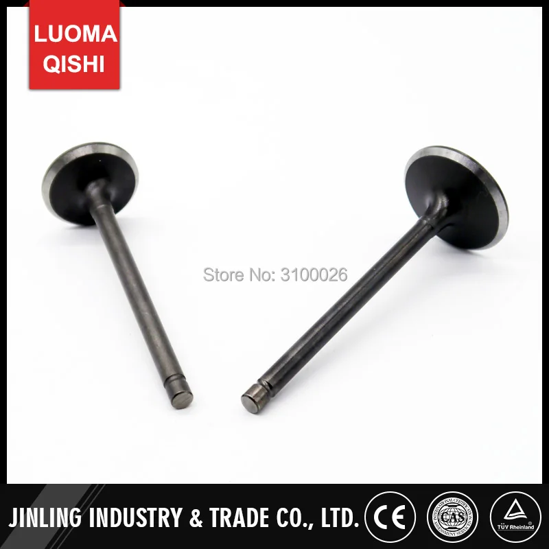 ATV300-008-2-intake-exhaust-valve-300cc-jla-931e-atv-engine-parts