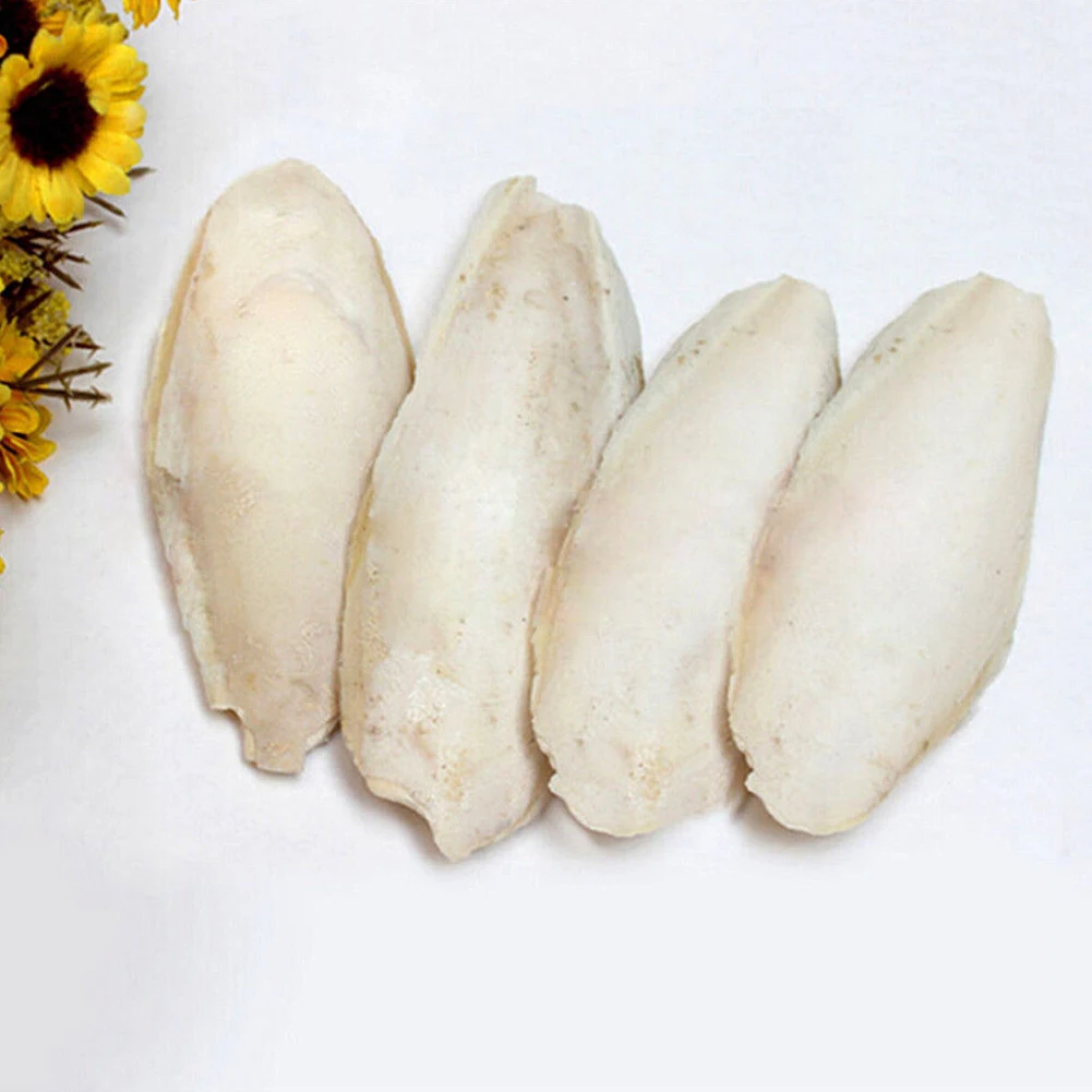 1 мешок Yummy Cuttle Fish Cuttlefish Bone для рептилий Budgie Birds черепаха питание украшение волос