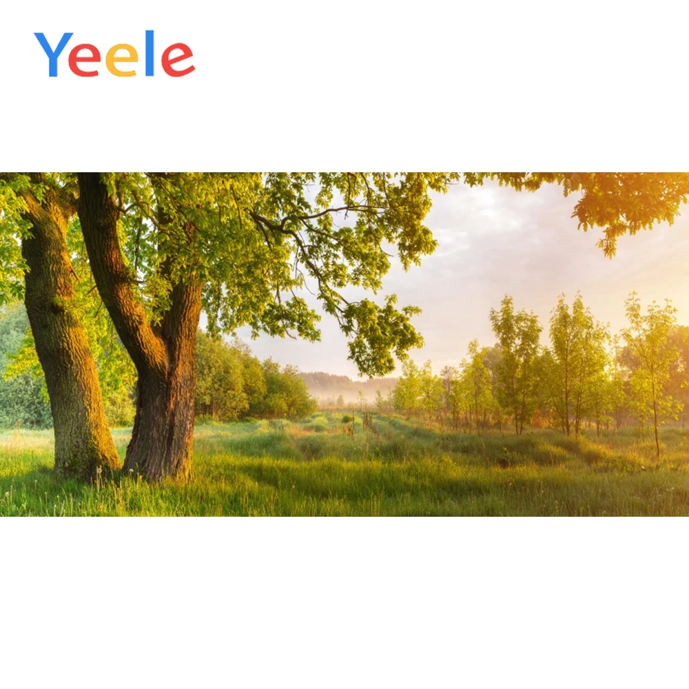 

Yeele Landscapes Natural Green Background Poster Dreamy Scene Baby Photography Child Photographic Backdrop Wall For Photo Studio