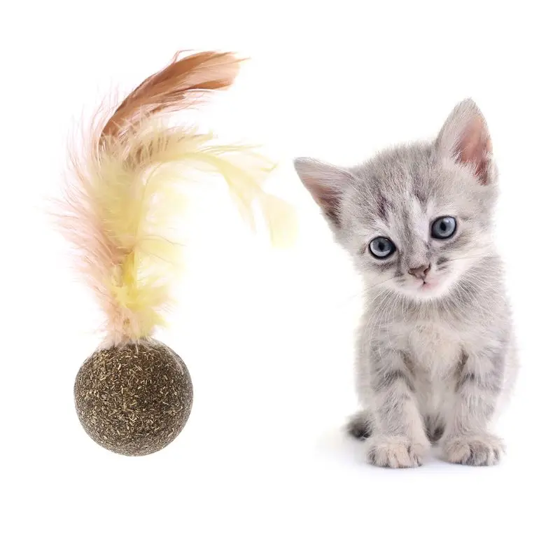 

1 Pc Pet Toy Nature Kitten Cat Feature Toy Teeth Cleaning Cat Catnip Ball Pet Accessories -HJI