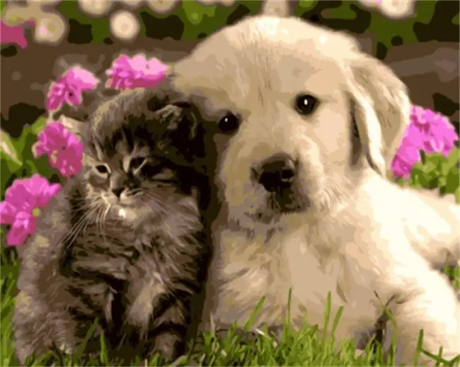 

DRAWJOY Framed Picture Dog And Cat Painting & Calligraphy DIY Painting By Numbers On Canvas Coloring By Numbers