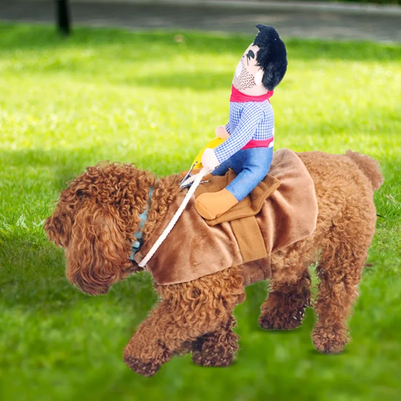 

Riding Horse Dog Costume With Cowboy Hat For Small Dog Large Dog Pet Cat Funny Golden Retriever Halloween Party Custome 2019