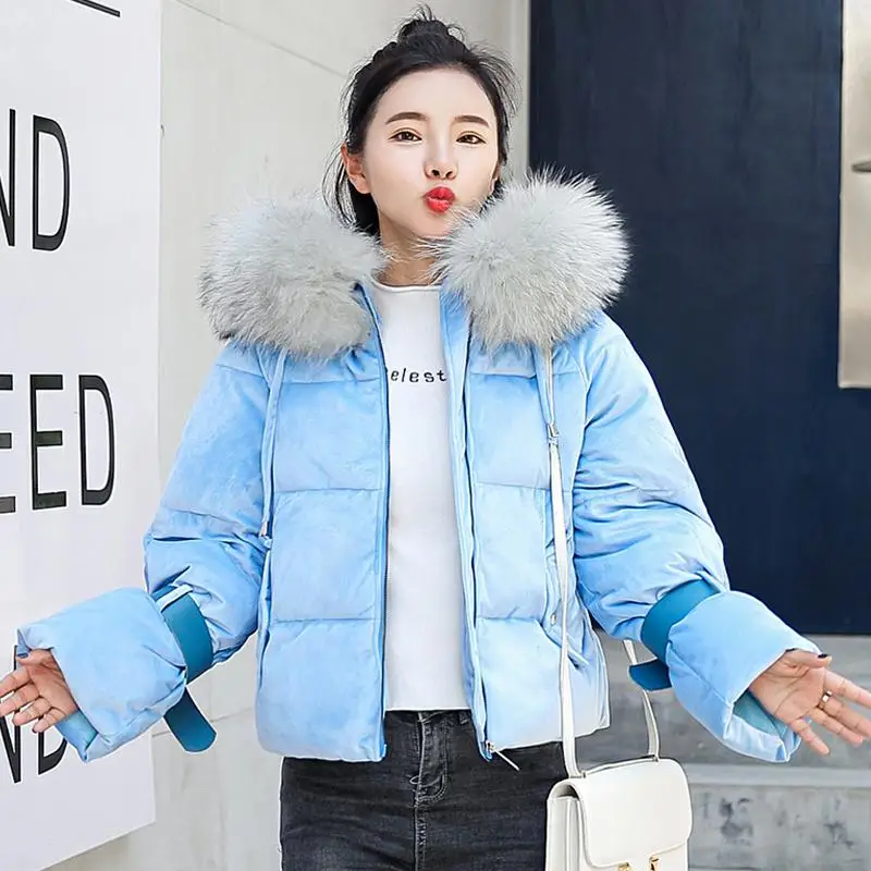 Ly Varey Lin Women Winter Cotton Padded Jacket Coats Warm Thickened Short Velvet Parka Female Hooded Fur Collar Casual Outerwear - Цвет: Sky Blue