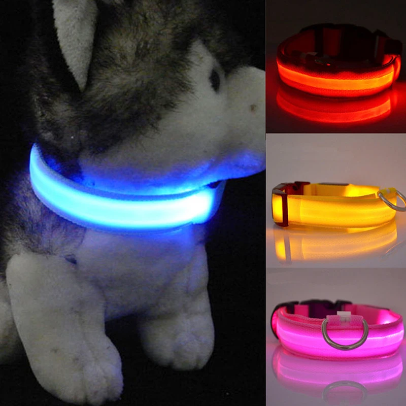 dog collar blinking lights