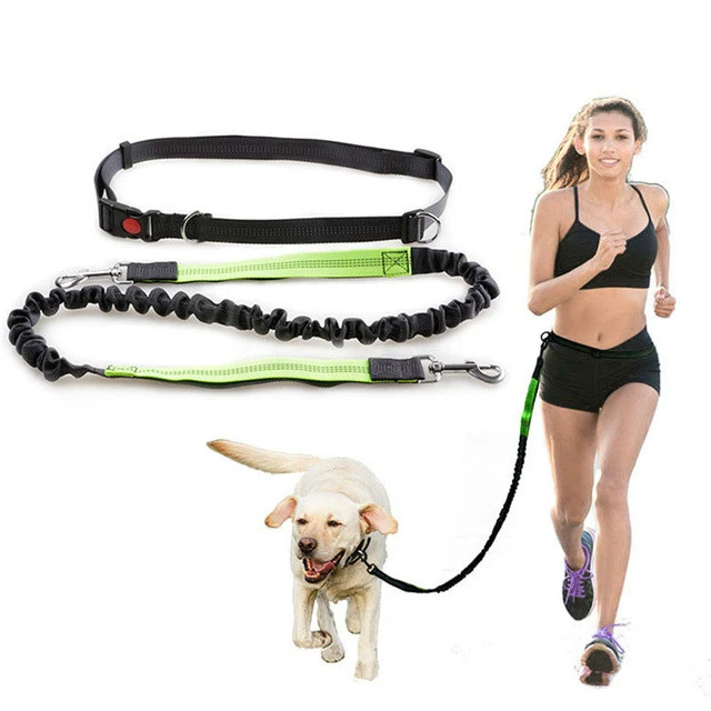no hands dog leash