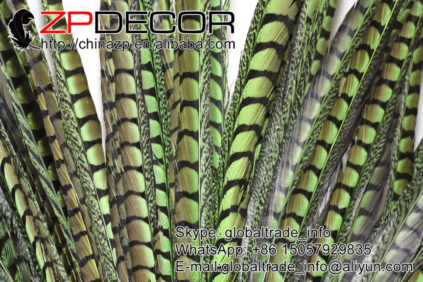 Новинка! ZPDECOR 100 110 см 20 шт./лот высокое качество окрашенные цветные женские