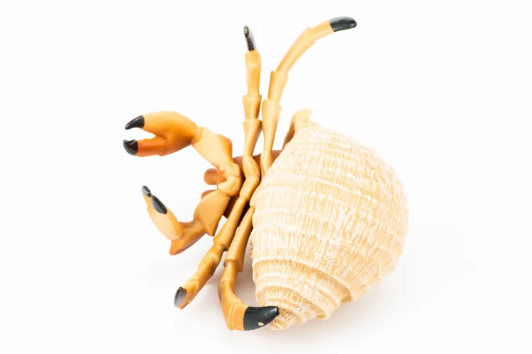 a11