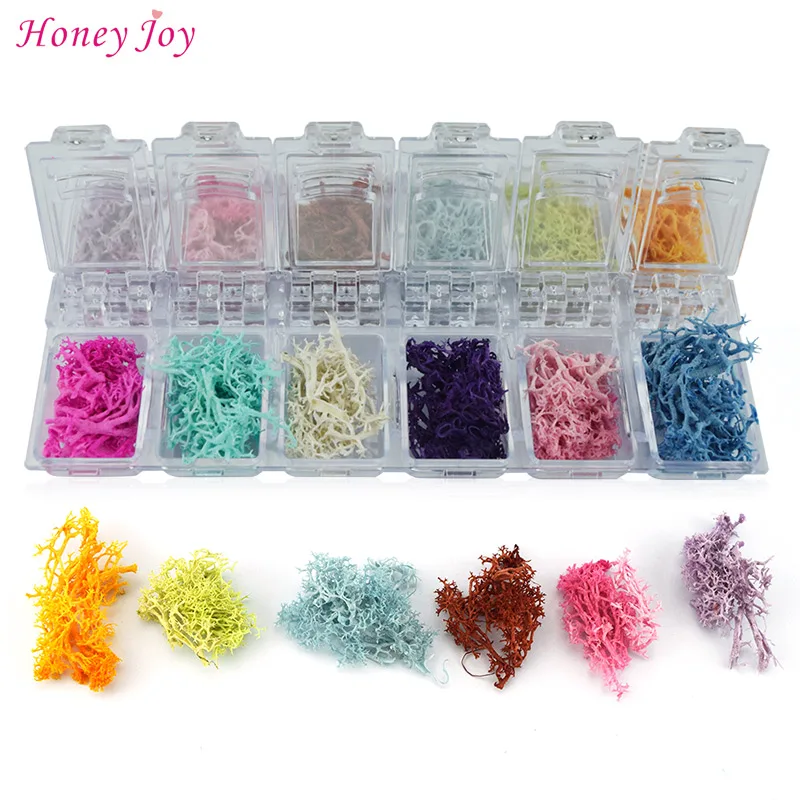 

12colors/box The Beauty of Nature 3D Real Seaweed Dry Flowers + Rhinestone Storage Box Nail Art Decoration UV Gel Polish Decals