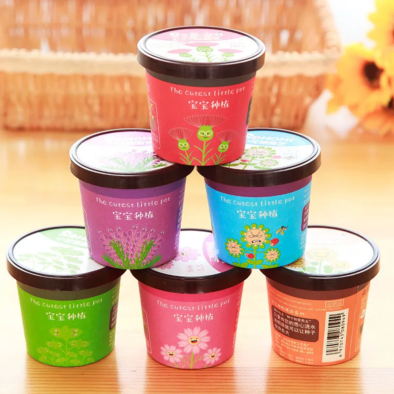 Creative 6-Kinds of Bonsai Included Seedsplants for Children Indoor Plants Flowers Bonsai Flower Plant Plantas for Home & Garden Creative 6-Kinds of Bonsai Included Seedsplants for Children Indoor Plants Flowers Bonsai Flower Plant Plantas for Home & Garden