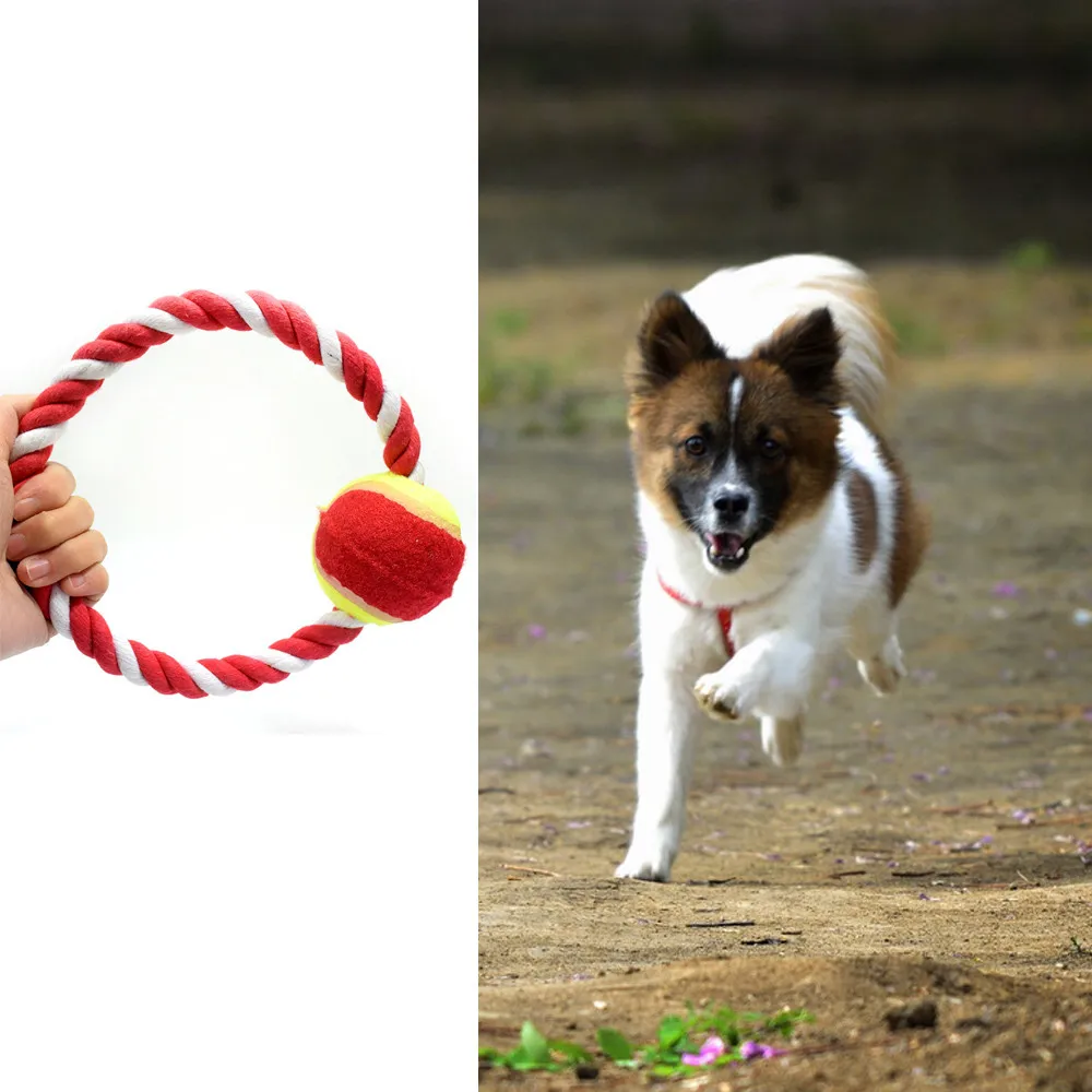 Buy Dog Throw Tug Pull Chew Toy Ball Rope New Dog Toy Cotton Rope Bounce Ball