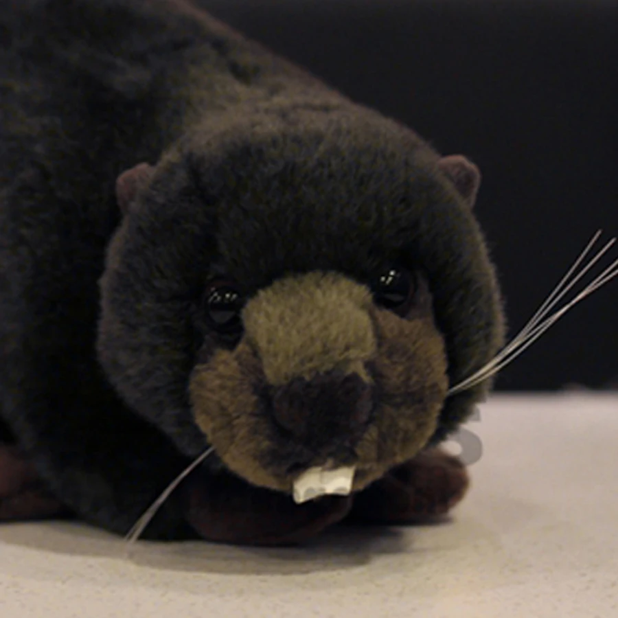 Beaver Simulation Stuffed Plush Toy Animals font b Cute b font font b Pillow b font