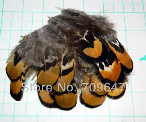 

200Pcs/Lot 4-7CM NATURE Golden YELLOW REEVES PHEASANT BODY PLUMAGE FEATHERS,Reeves Pheasant Feathers for Crafts,Jewelry Making