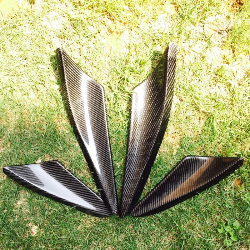 EVO10canard (6)_