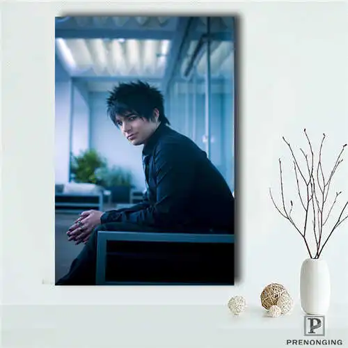 

Custom Adam-Lambert (1) Printing Posters Cloth Fabric Wall Art Pictures For Living Room Decor#18-12-05-1-47