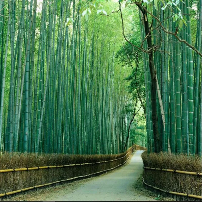 

Wellyu пользовательский большой свежий бамбуковый лес ударный 3D фон для телевизора обои