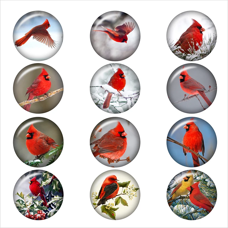 Cardinal christmas bird glass snap button ювелирные изделия DIY Фотография Кабошоны с плоской