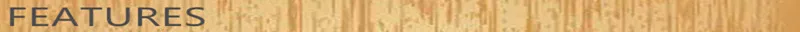 Keyecu 50 шт. яркий белый T10 1206 22-SMD светодиодный Панель плафона автоматический салона Чтение поворотника потолка крыши интерьер лампы