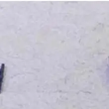 50 шт./лот r для iPad air 5 J5100 Флекс для сим-карты гнезда соединителя fpc на логической плате fix part